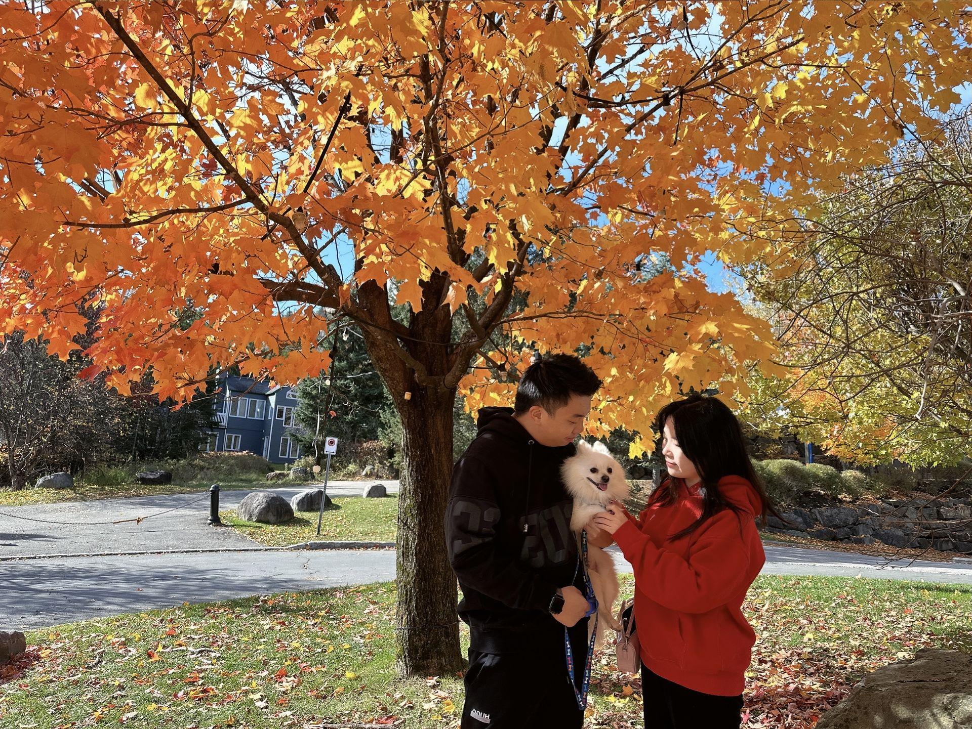 a man and a woman in front of a maple tree with a dog in the middle