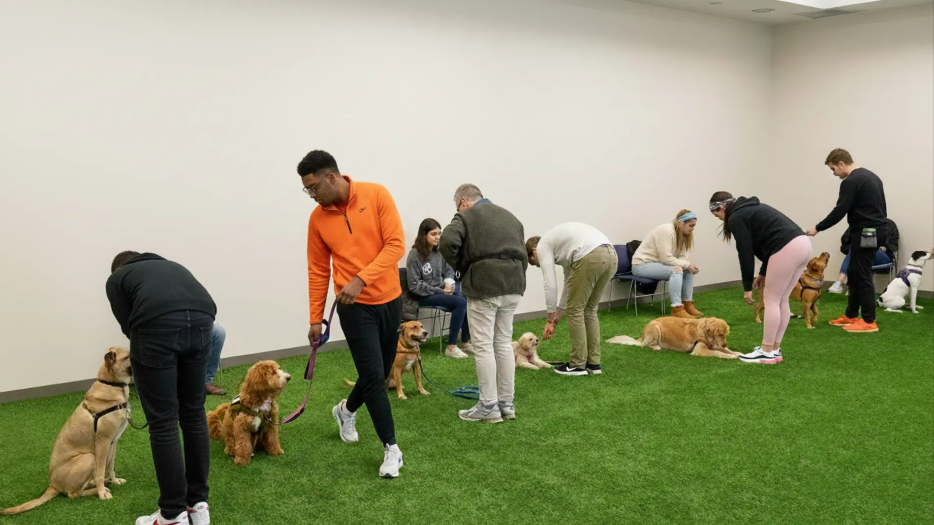 Intermediate Dog Training in Calgary with Matt Plus Hanna CPDT-KA Professional Dog Trainer